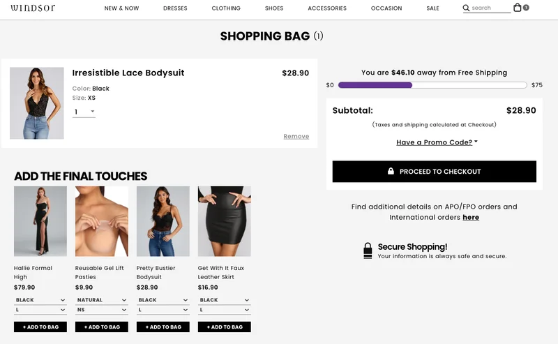 windsorstore.com-2022.03.01-14_49_01