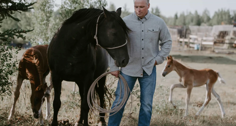 Buffalo Jackson: Driving Revenue Through Continuous Experimentation